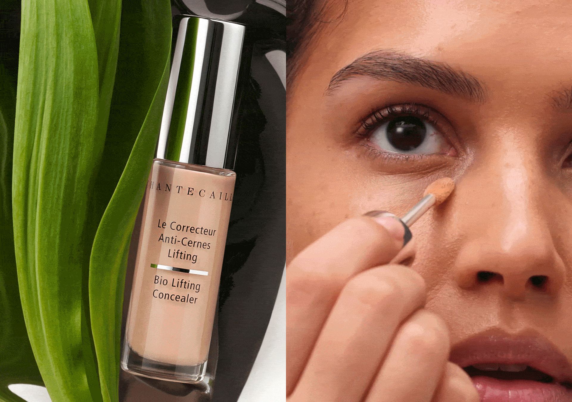 BioConcealer_Campaign_6-ezgif.com-optimize.gif