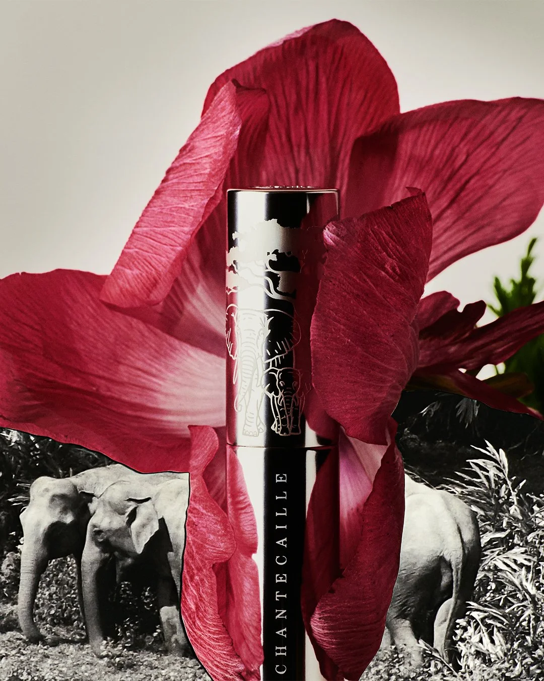 Lip-Creme_Campaign_4.jpg