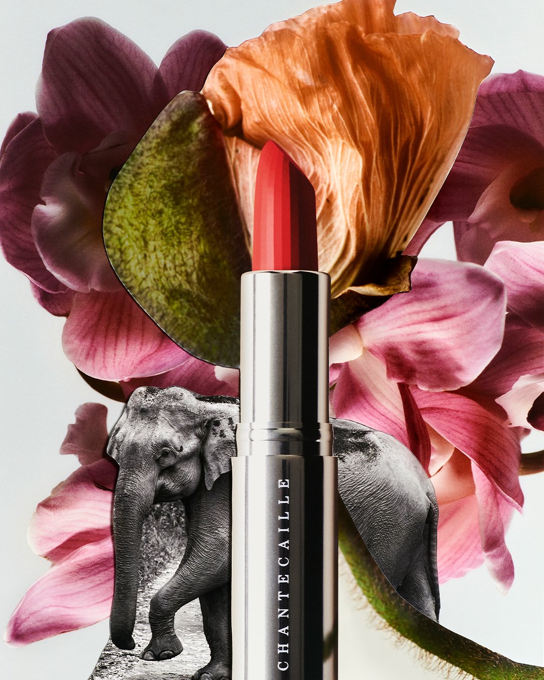 Lip-Creme_Campaign_8.jpg
