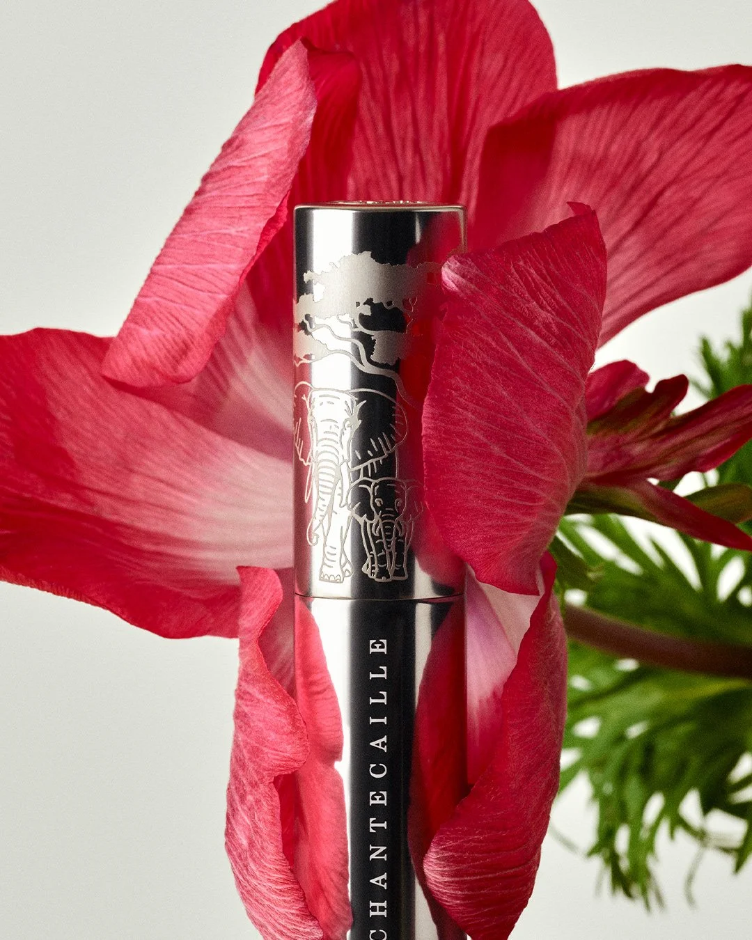 LipCreme_Campaign_11.jpg