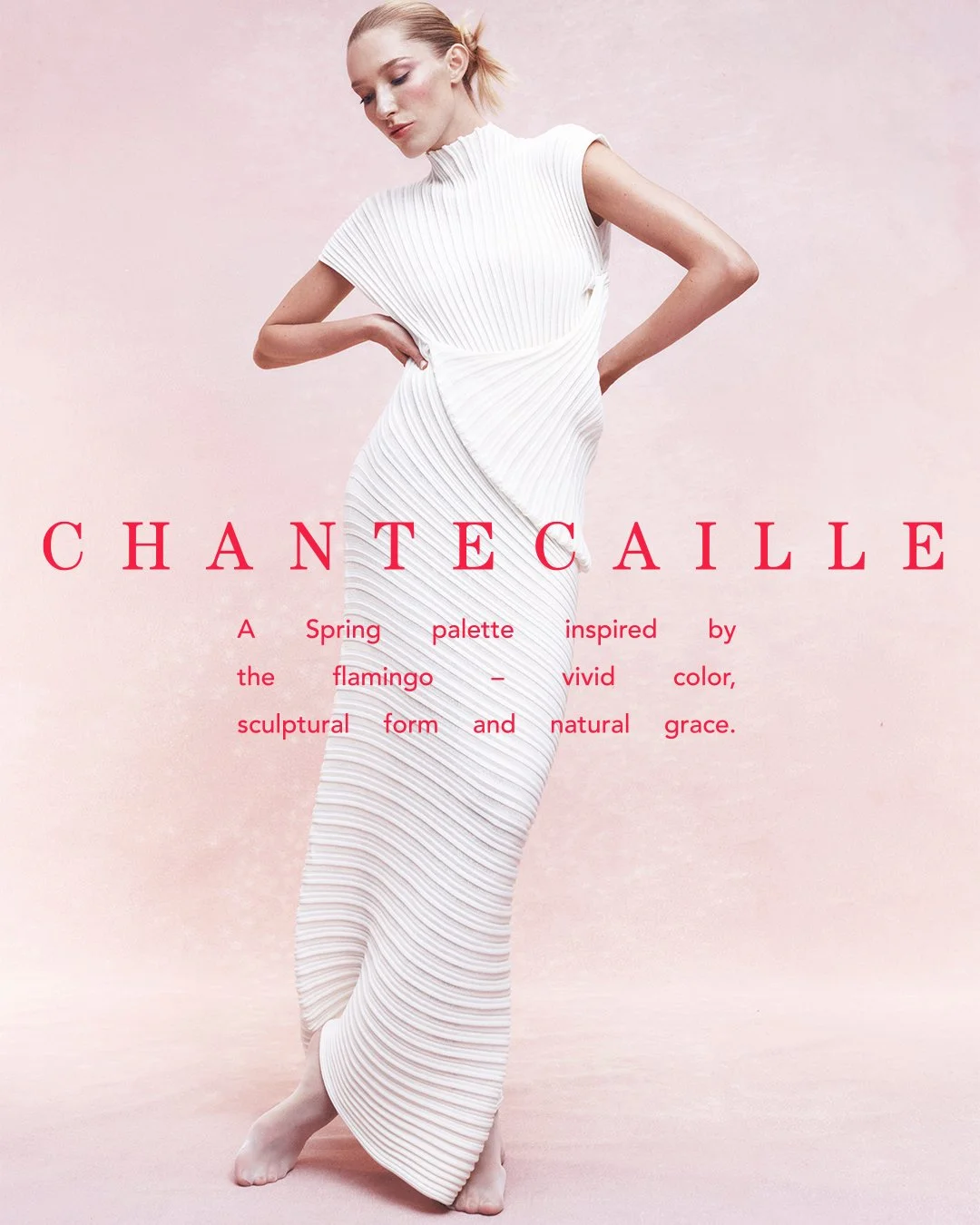 Flamingo_Campaign_1.jpg