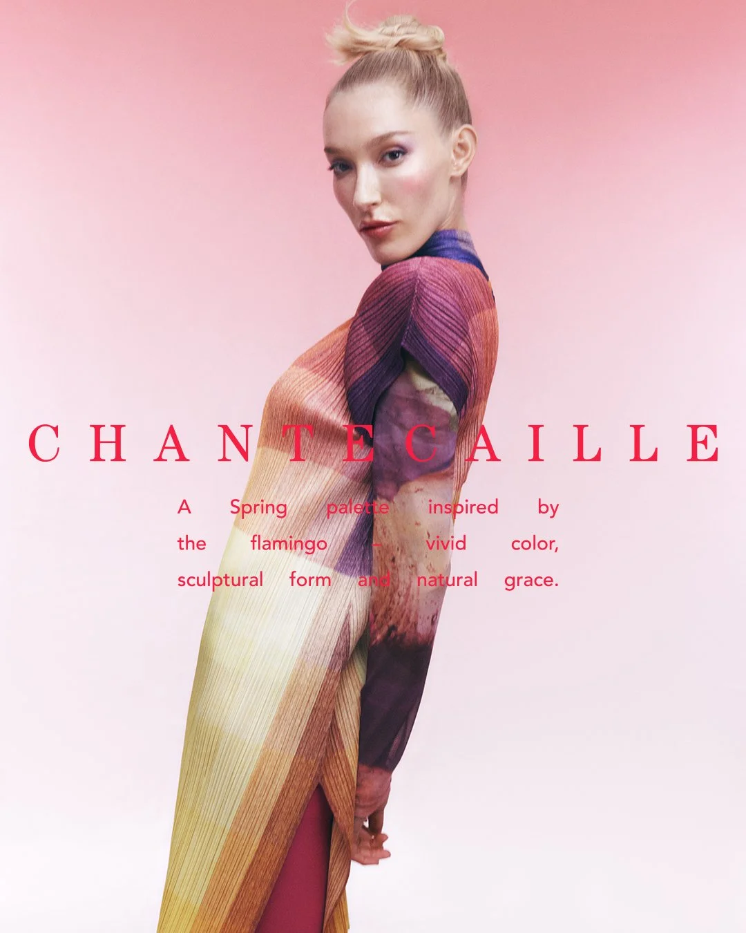 Flamingo_Campaign_4.jpg