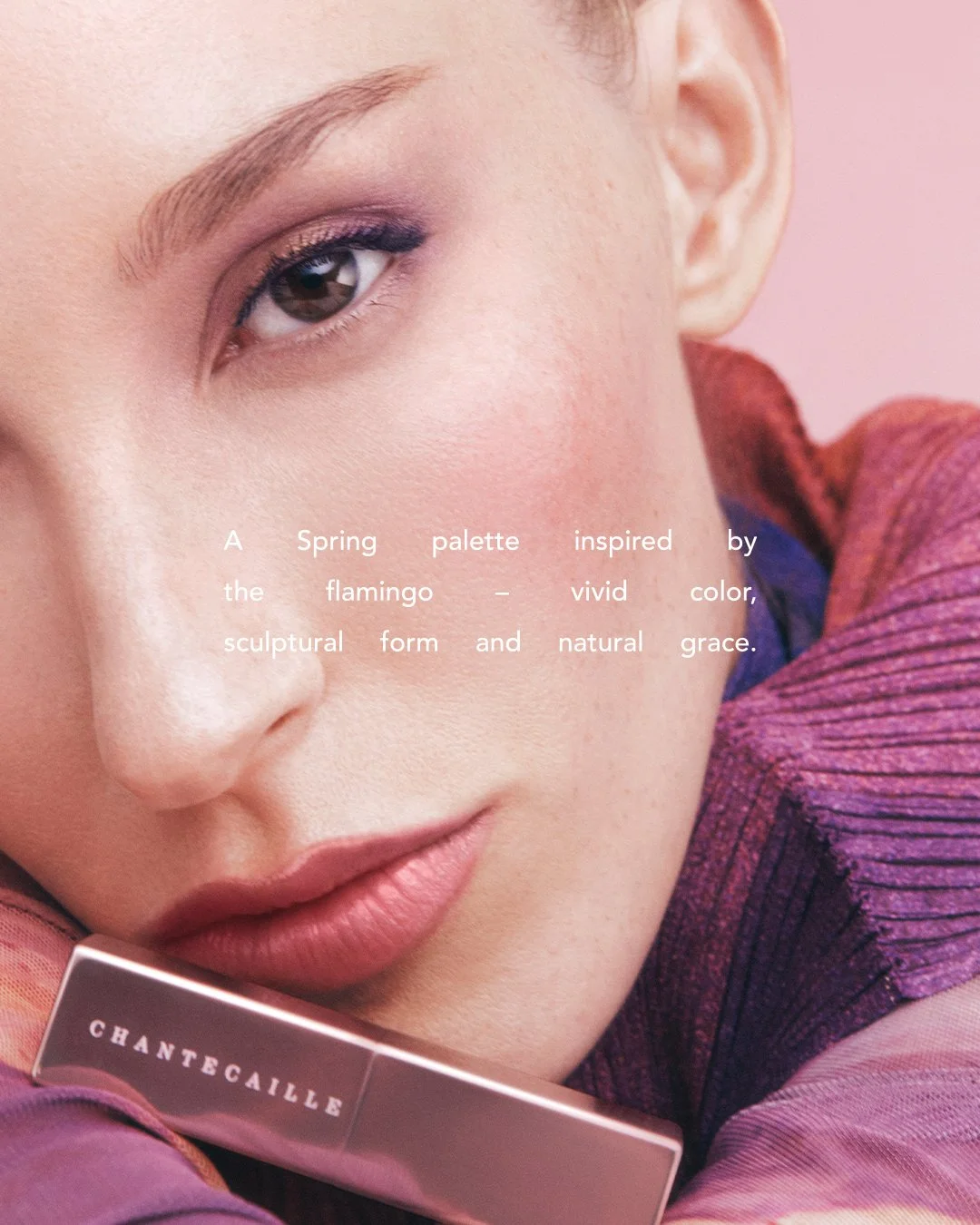 Flamingo_Campaign_6.jpg