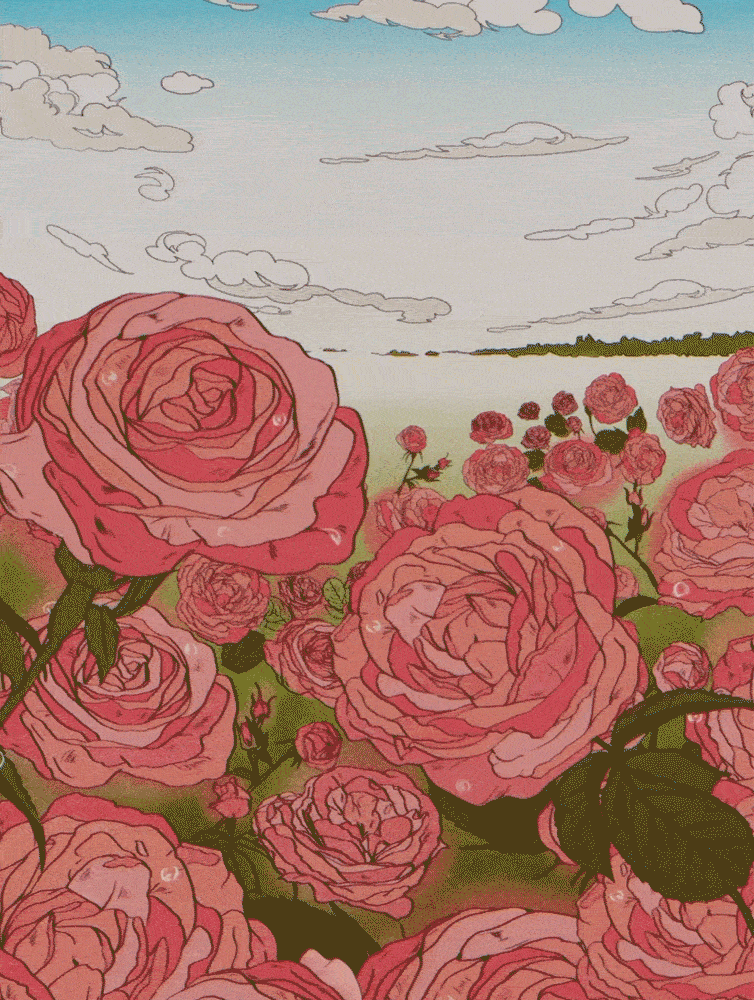 Animations
