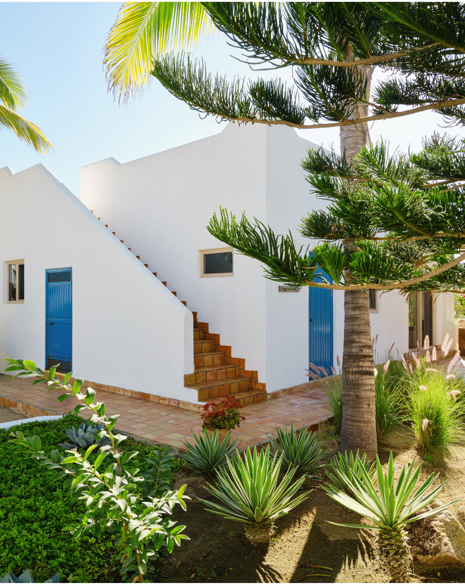 White buildings with blue doors and stairs, surrounded by tropical plants and palm trees, under a clear blue sky.