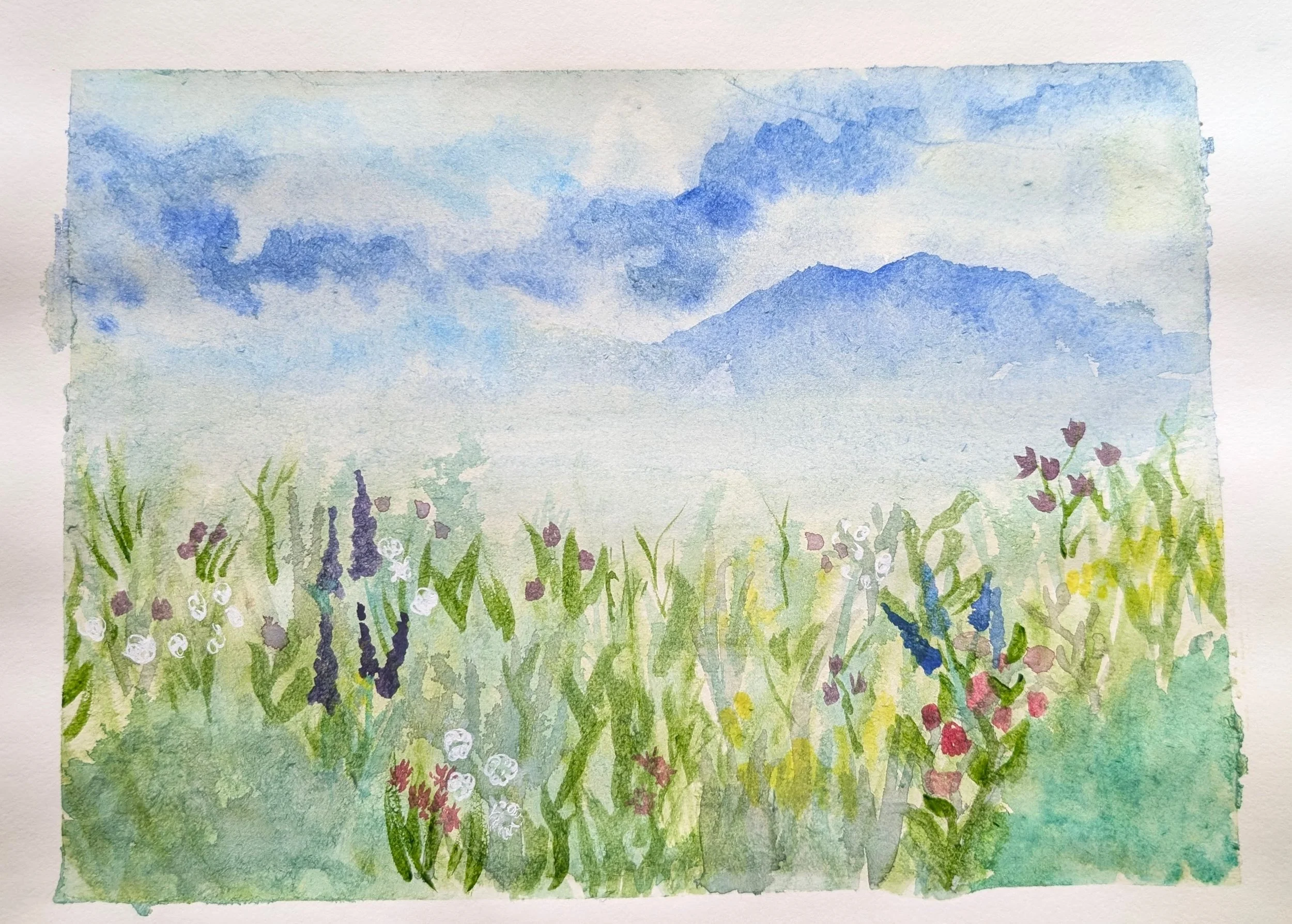 Field of dreams #3 , 9x12, Watercolor, 2026, Available $ 150