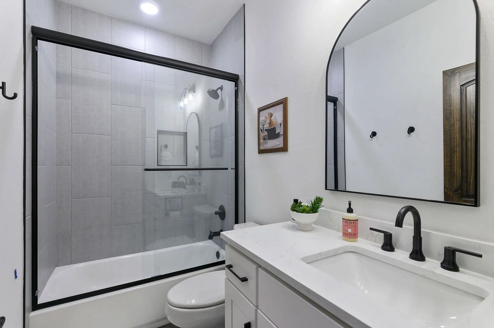 Modern bathroom with a glass-enclosed shower, white vanity with black fixtures, mirror, framed art, and a potted plant.