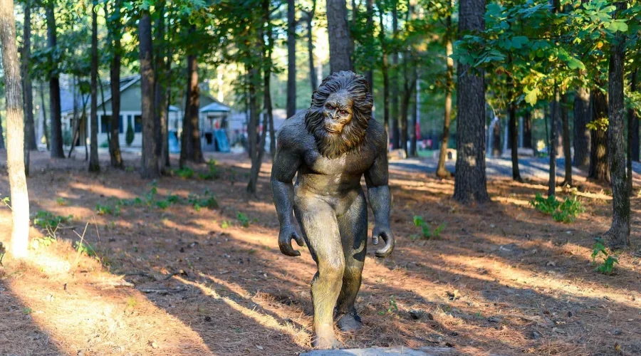 A statue of Bigfoot in a wooded forest with trees and sunlight