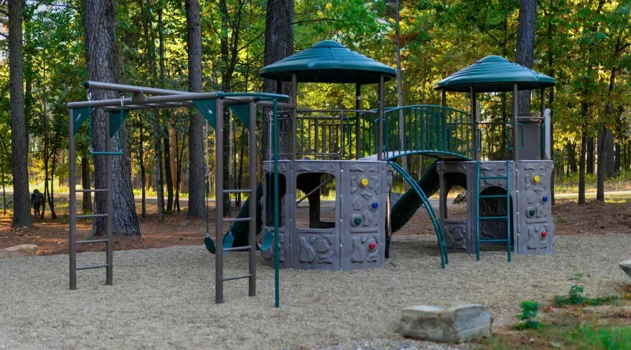 Children's playground with climbing structures, slides, and swings in a wooded area.