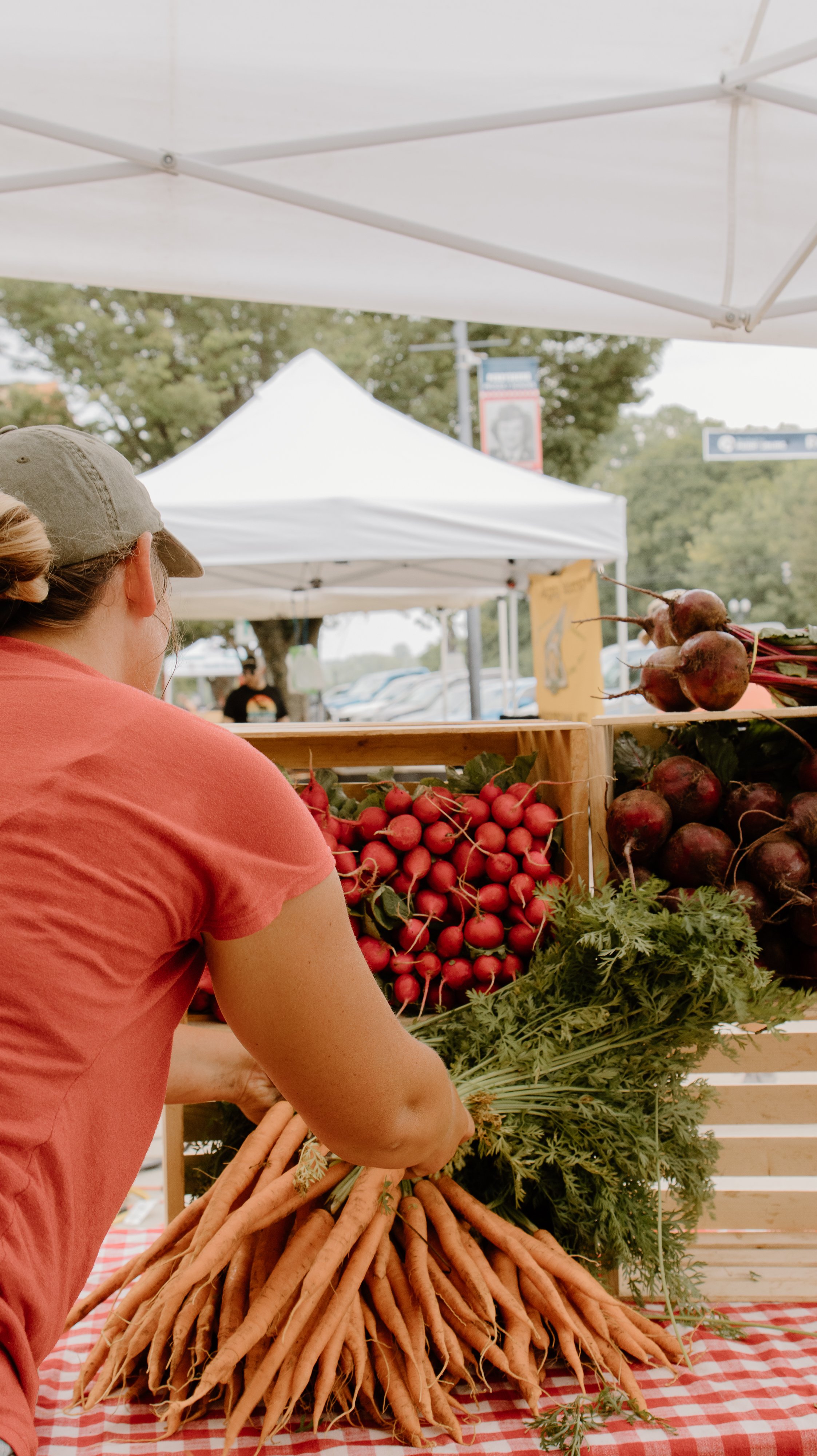 A person wearing an orange shirt and a baseball cap shopping for root vegetables at an outdoor farmers market, with tents and trees in the background.