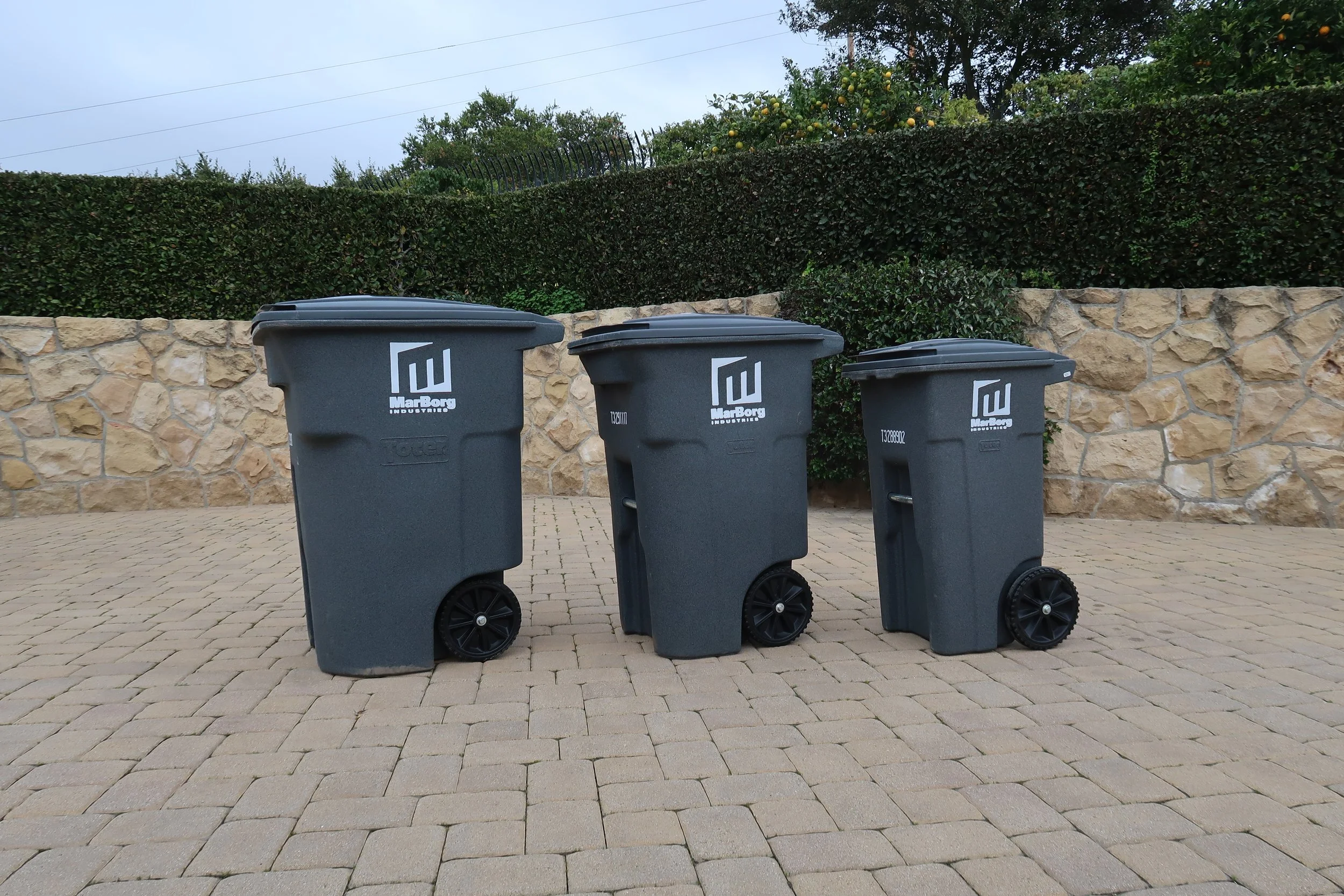 Three gray garbage bins with black wheels and lids are placed on a paved surface in front of a stone wall and green bushes. The bushes include some with yellow fruit. Overhead, power lines are visible in the cloudy sky.