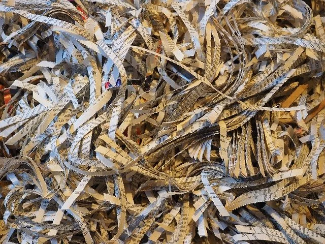 shredded paper.jpg