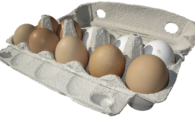 Paper Egg Cartons - Recycle or Mixed Organics