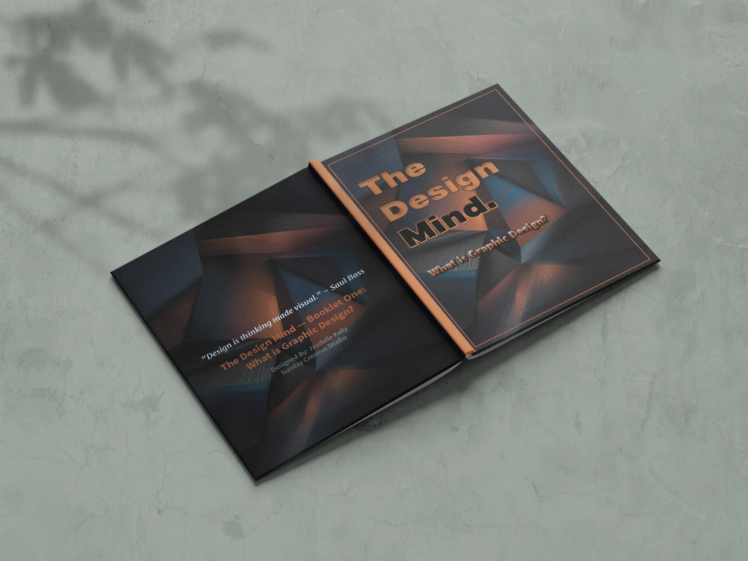 Two books titled "The Design of Mind" and "What is Graphic Design" lying on a light-colored textured surface, with shadows of leaves cast nearby.