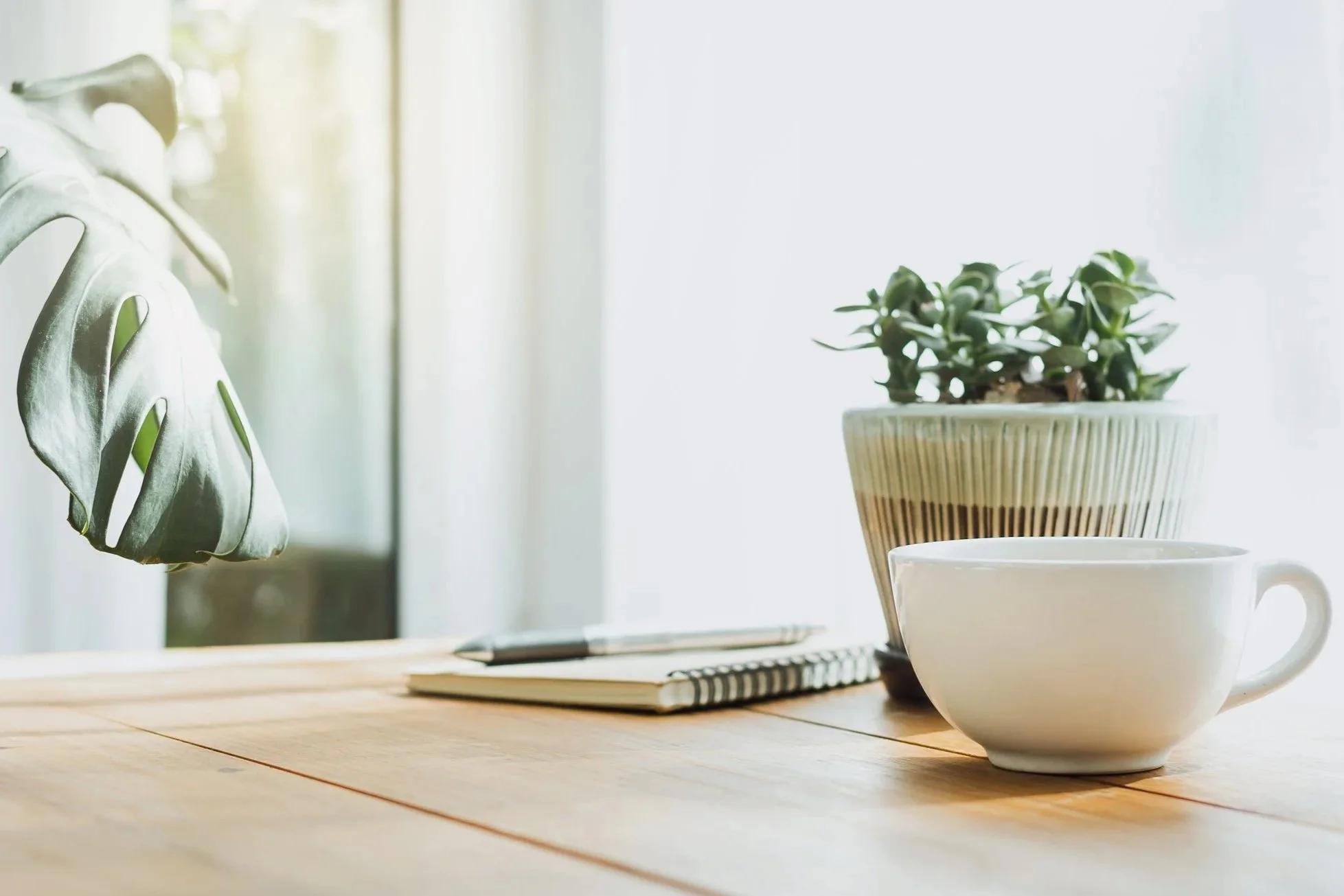 A wooden table with a white coffee cup, a notebook, a pen, and a small potted plant on it, set near a bright window.