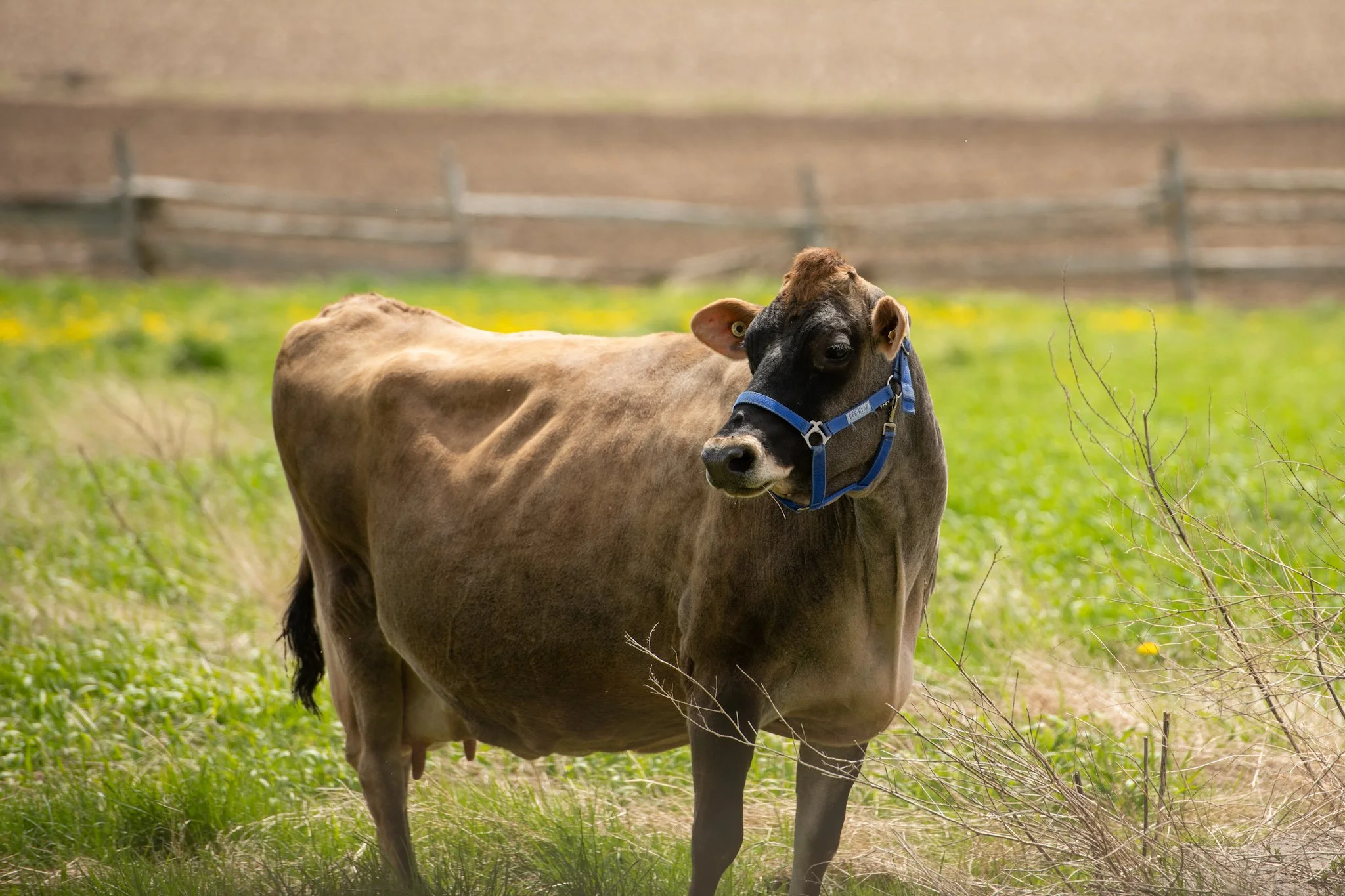HM1_6637.JPG