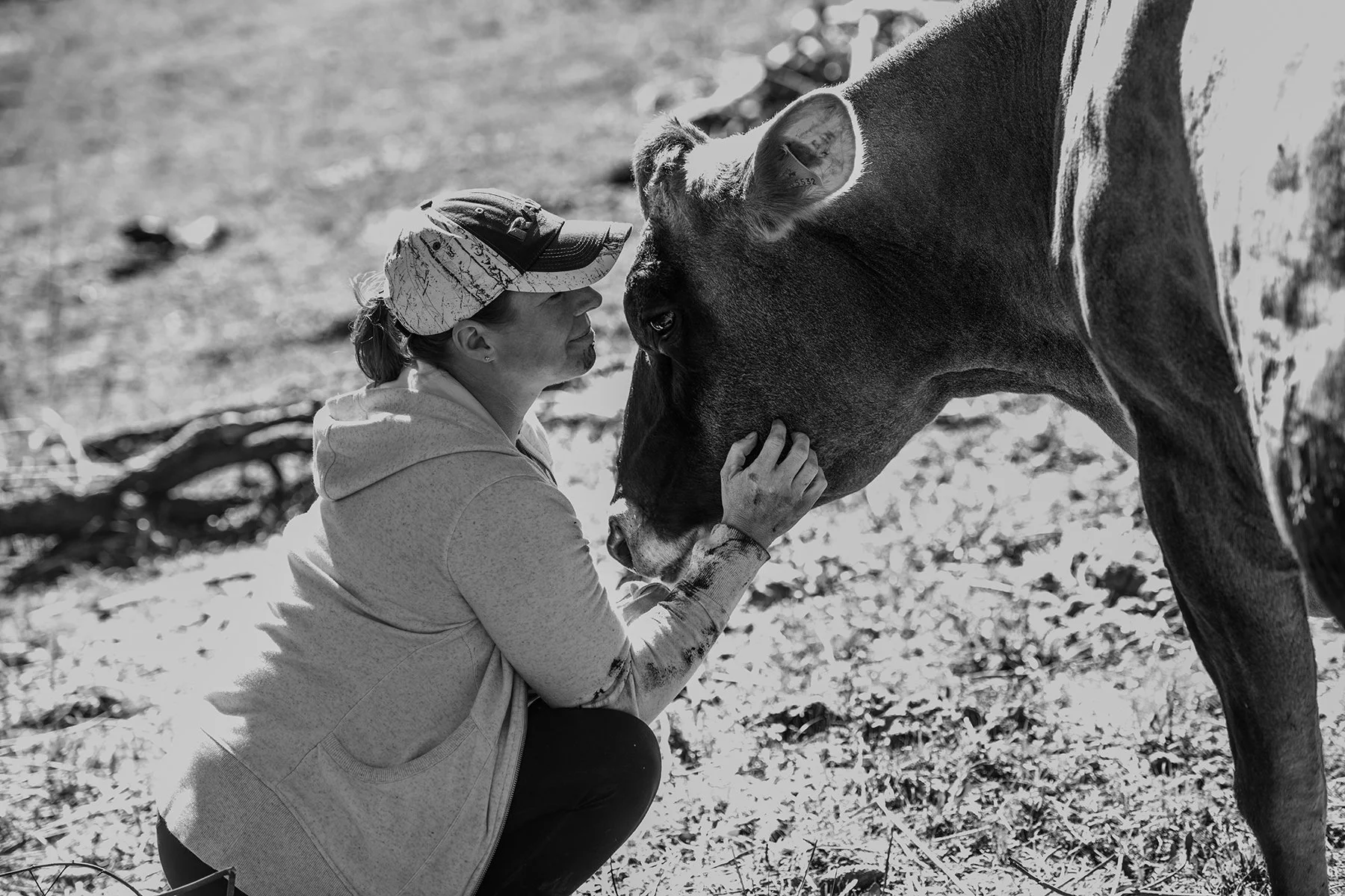 The Farm That Never Left Me - The Heart Behind The Adventures of Showstopper