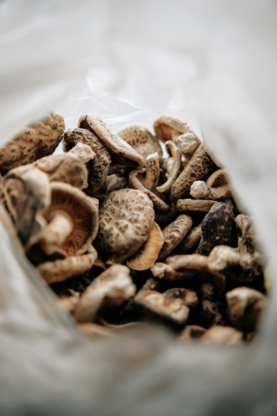 Psilocybin Mushroom (Shrooms)