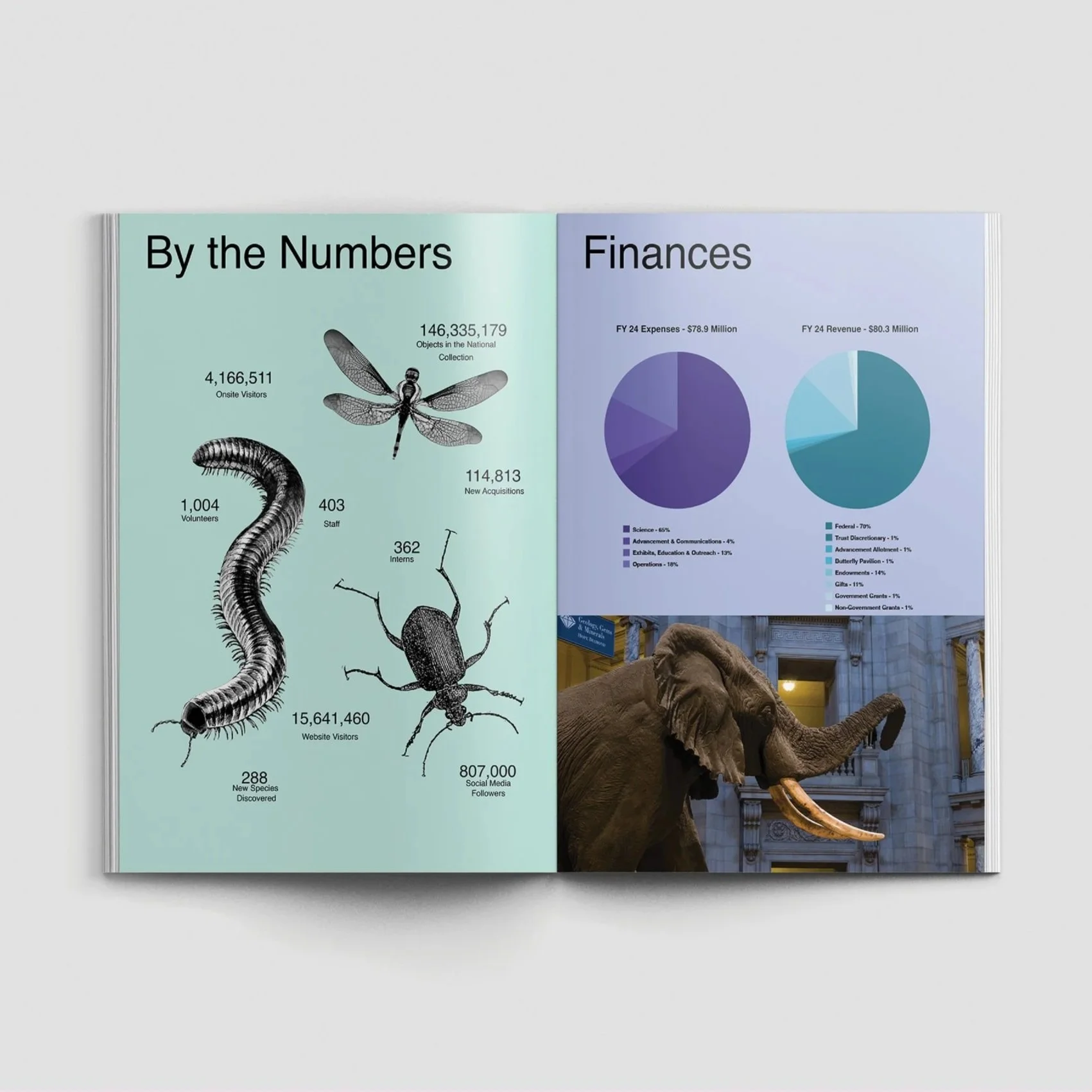 portfolio33.jpg