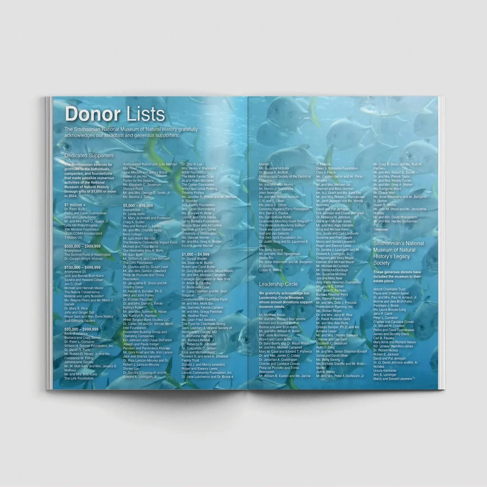 portfolio37.jpg