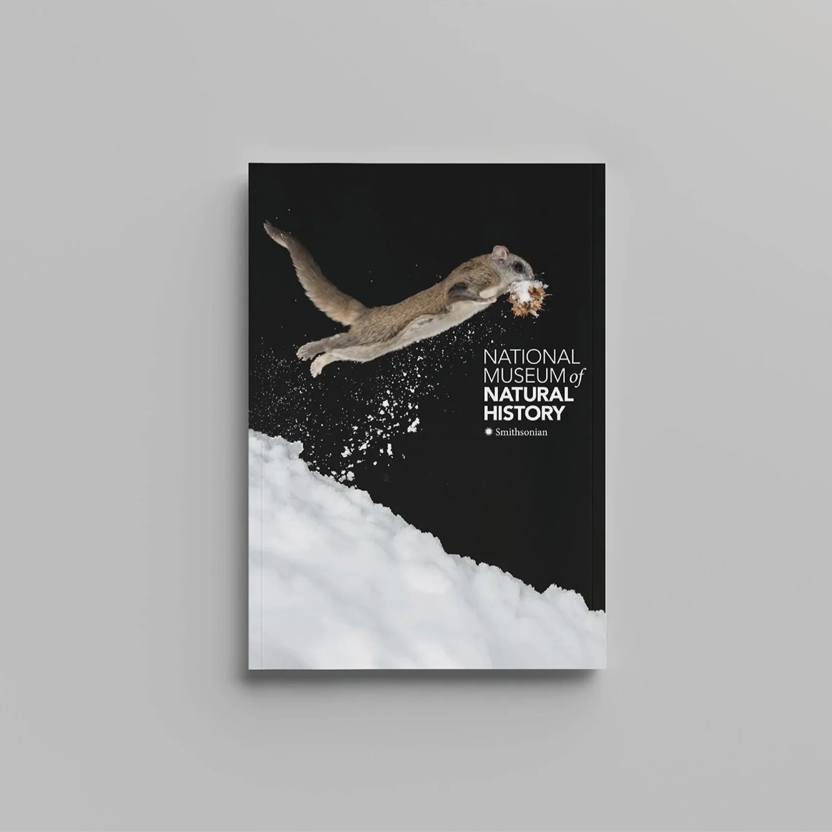 portfolio39.jpg