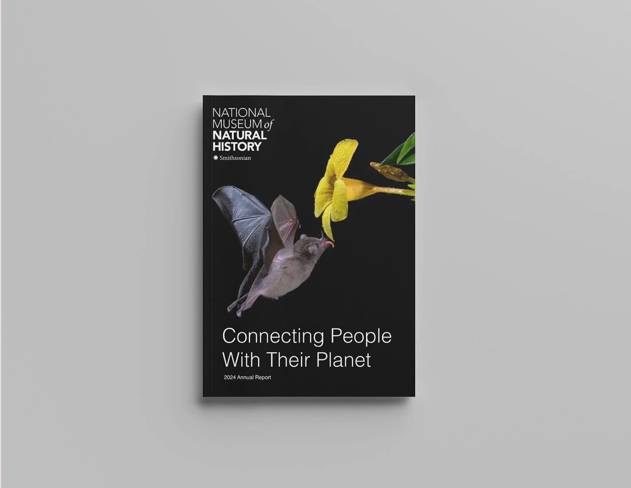 Annual Report Publication Design