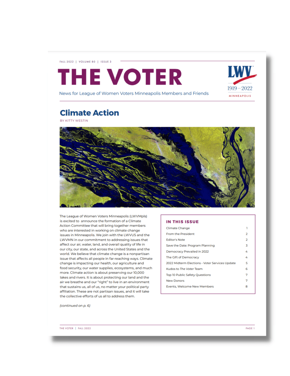 The Voter - Fall 22