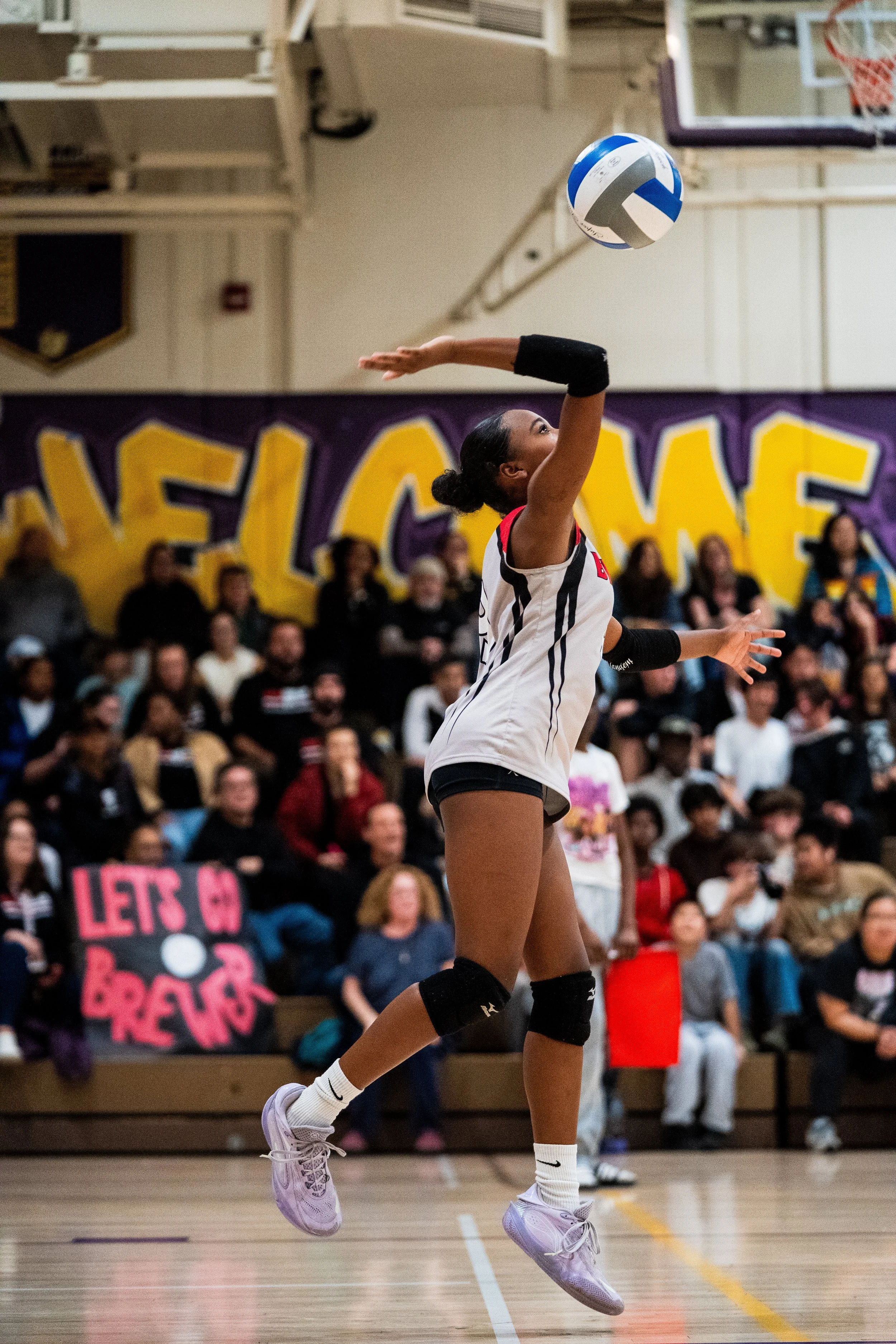 OAL MS Volleyball Championship