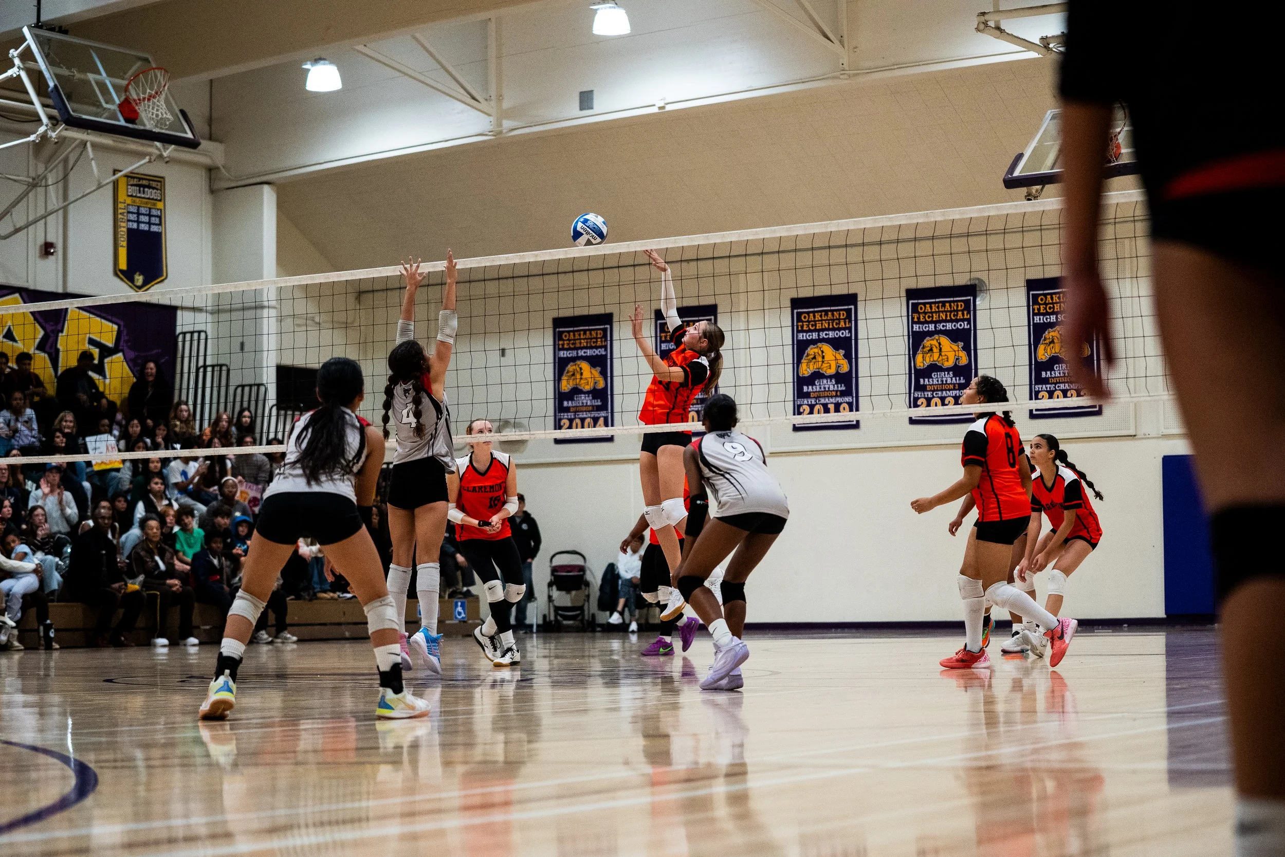 VolleyBall-2.jpg
