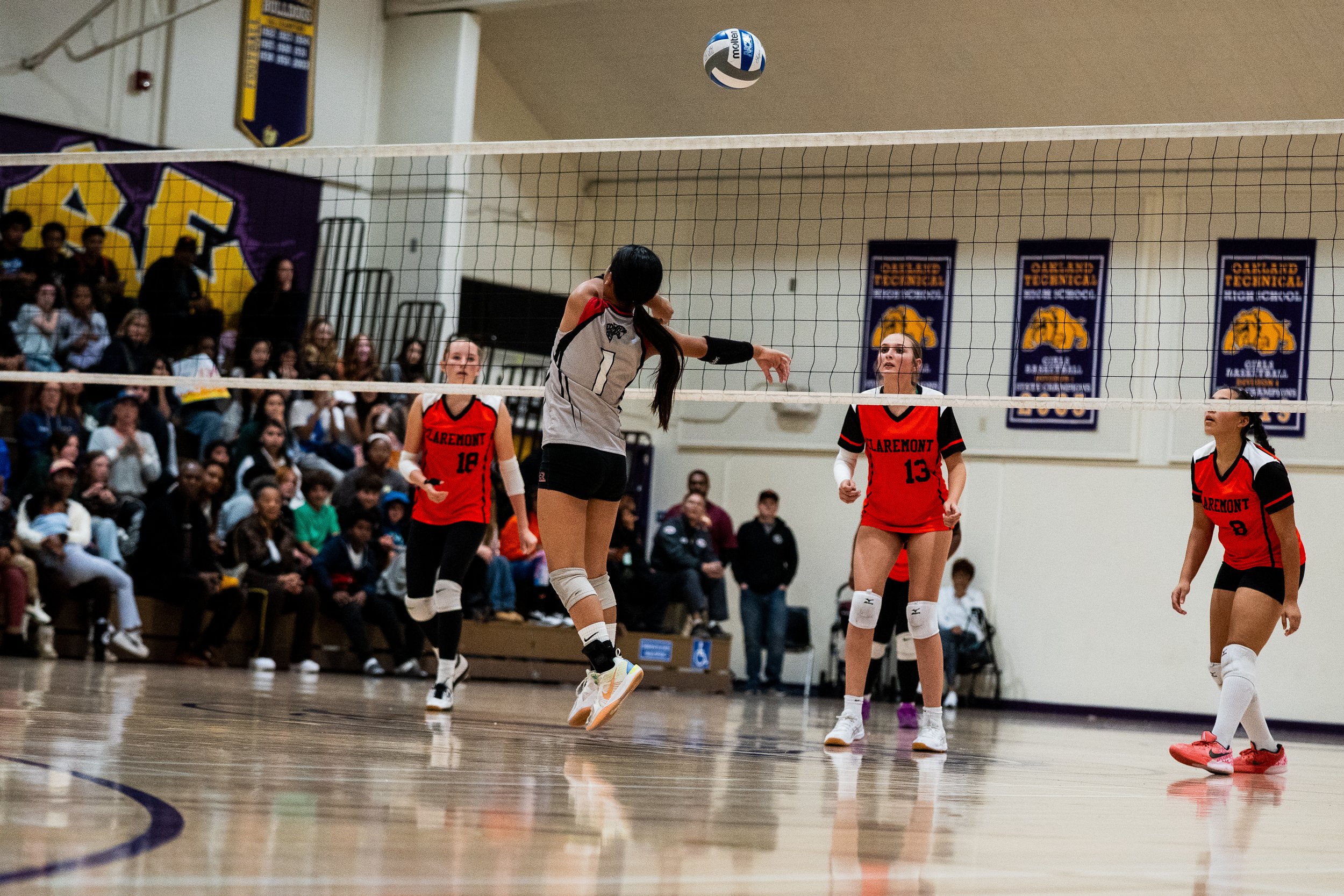 VolleyBall.jpg
