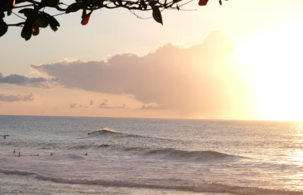 Screenshot 2026-04-28 at 10.48.23 AM.png