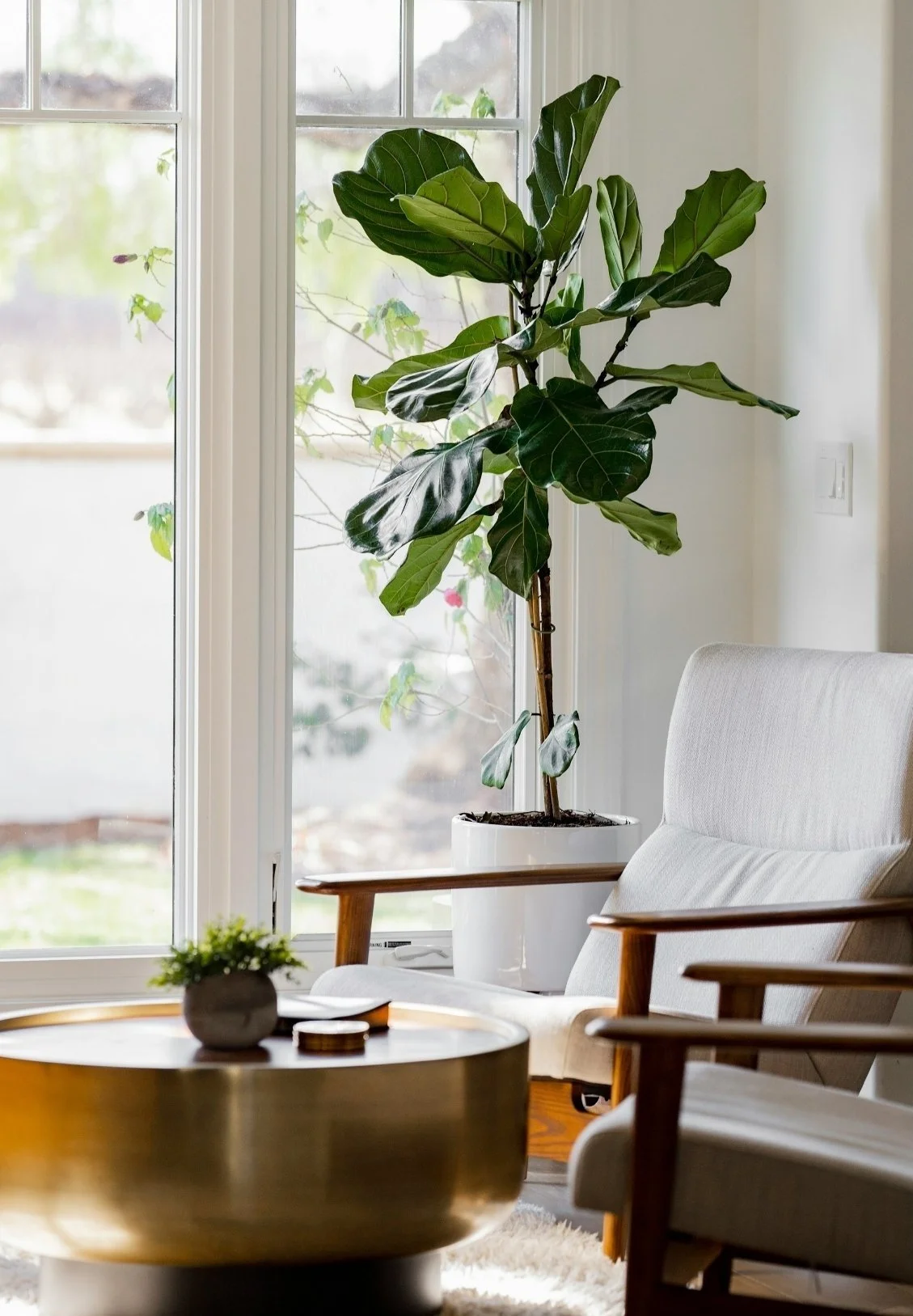 Interior of a living room with a tall green plant in a white pot near a large window, a white armchair, and a round wooden coffee table with a small potted plant, located next to a sliding glass door.