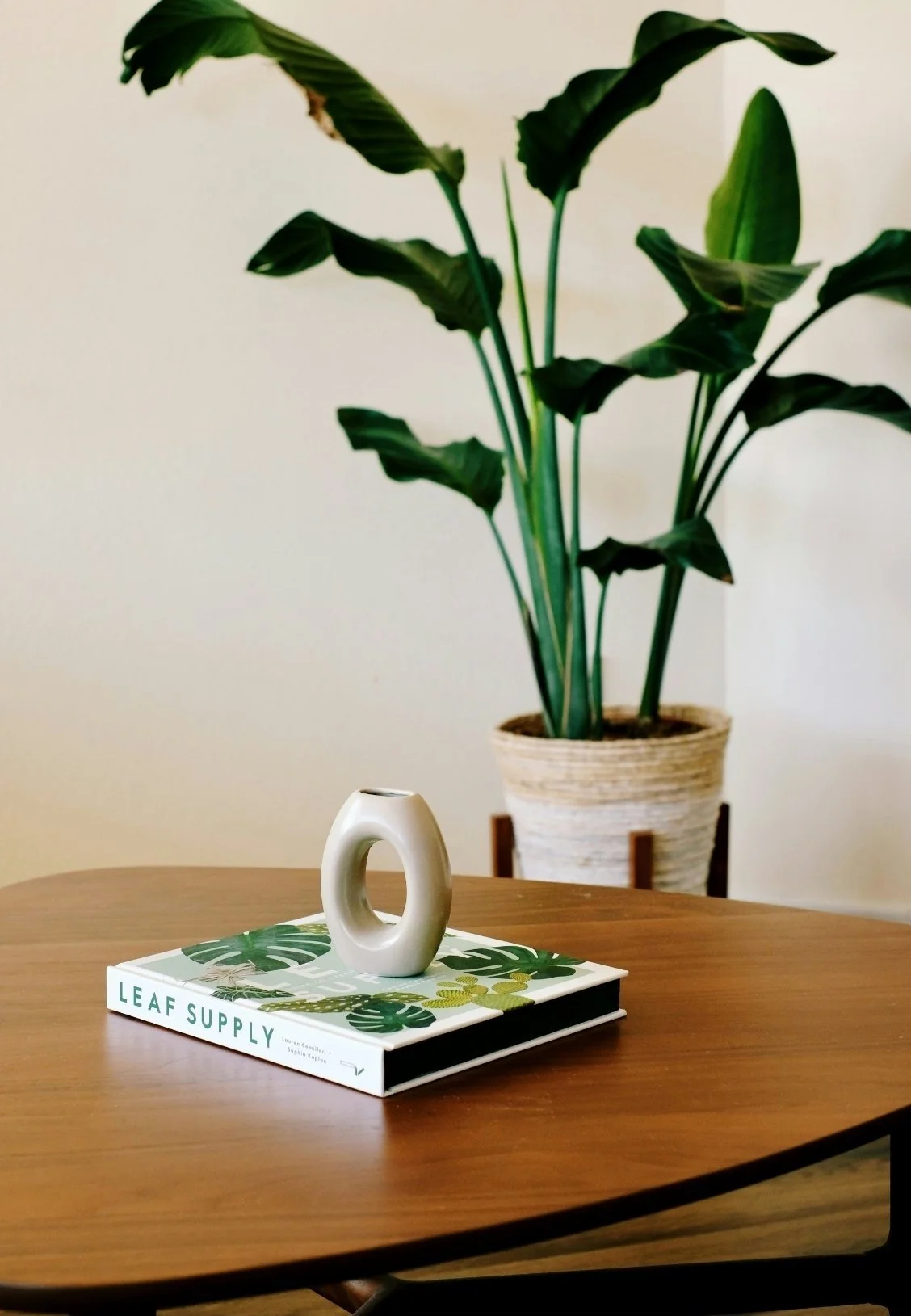 A white ceramic sculptural vase on top of a coffee table with a book titled 'LEAF SUPPLY' and a green tropical leaf illustration. In the background, a large green houseplant in a woven basket-style pot is visible.