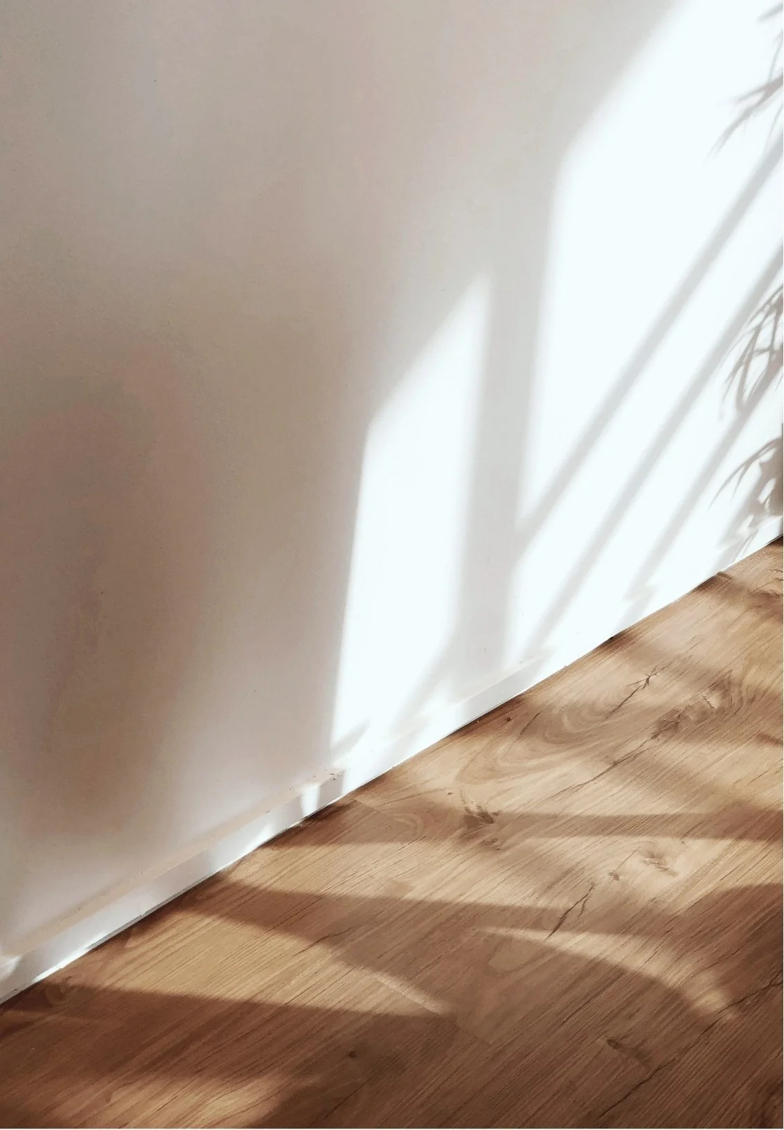 Sunlight casting shadows of leaves on a white wall next to a wooden floor.