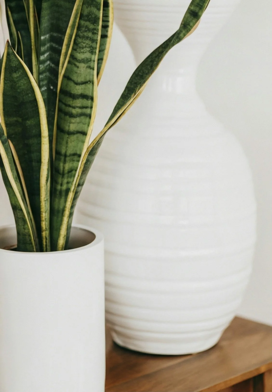 Close-up of a potted snake plant with tall variegated green and yellow leaves, placed in a white cylindrical pot; a larger white oval vase with textured ridges is in the background on a wooden surface.