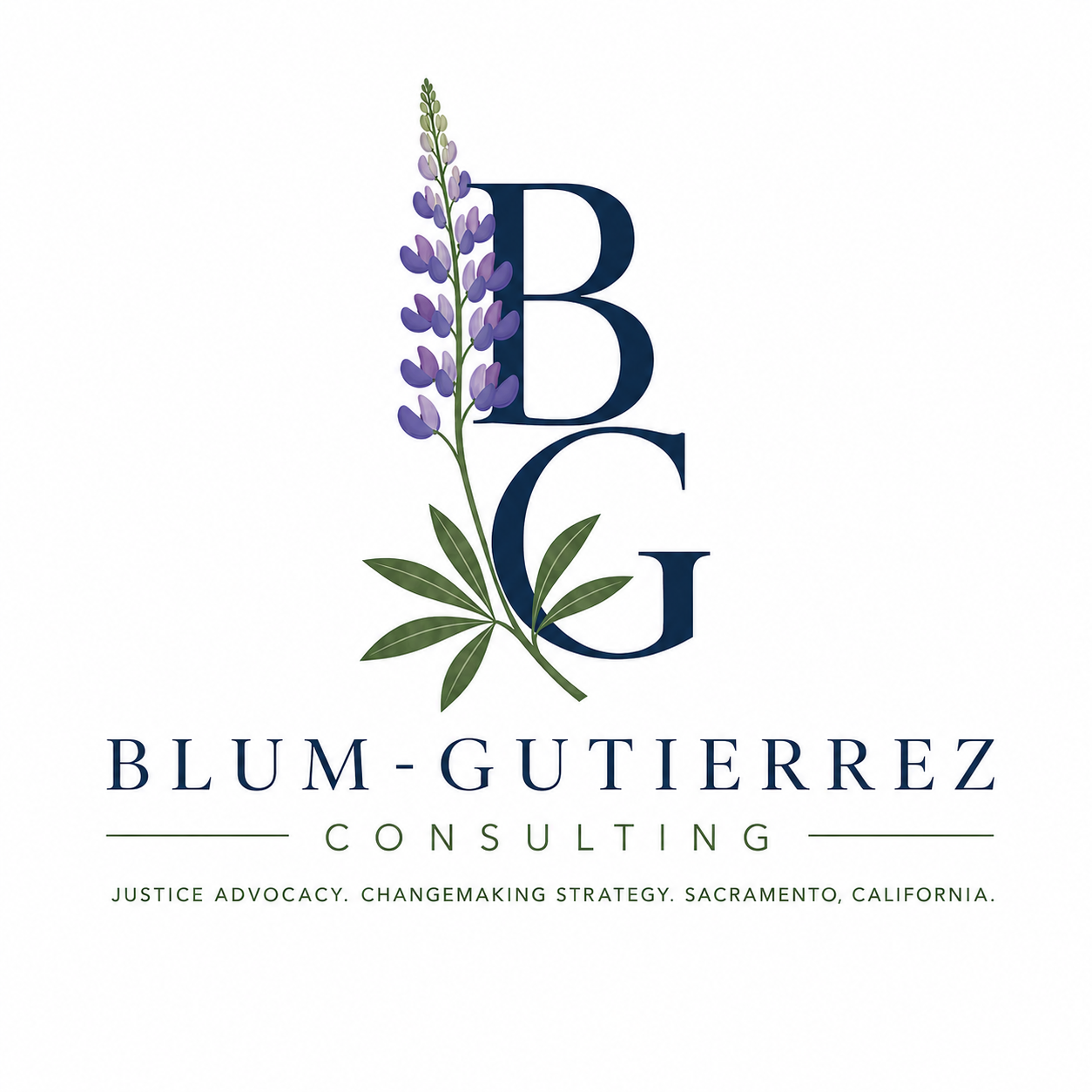 Blum-Gutierrez Consulting