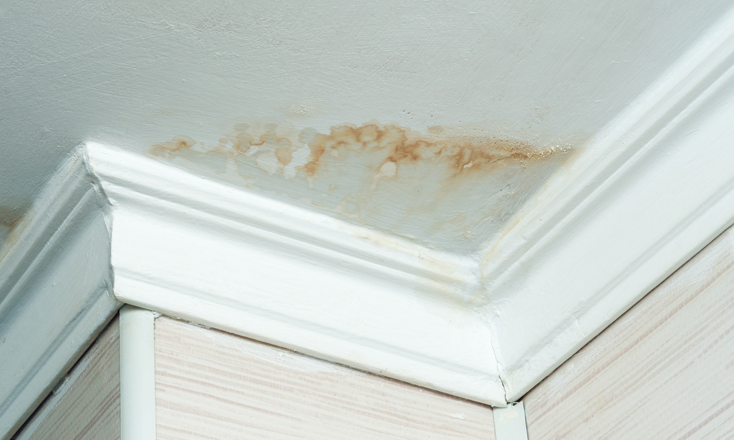 What to Know About Flood Insurance