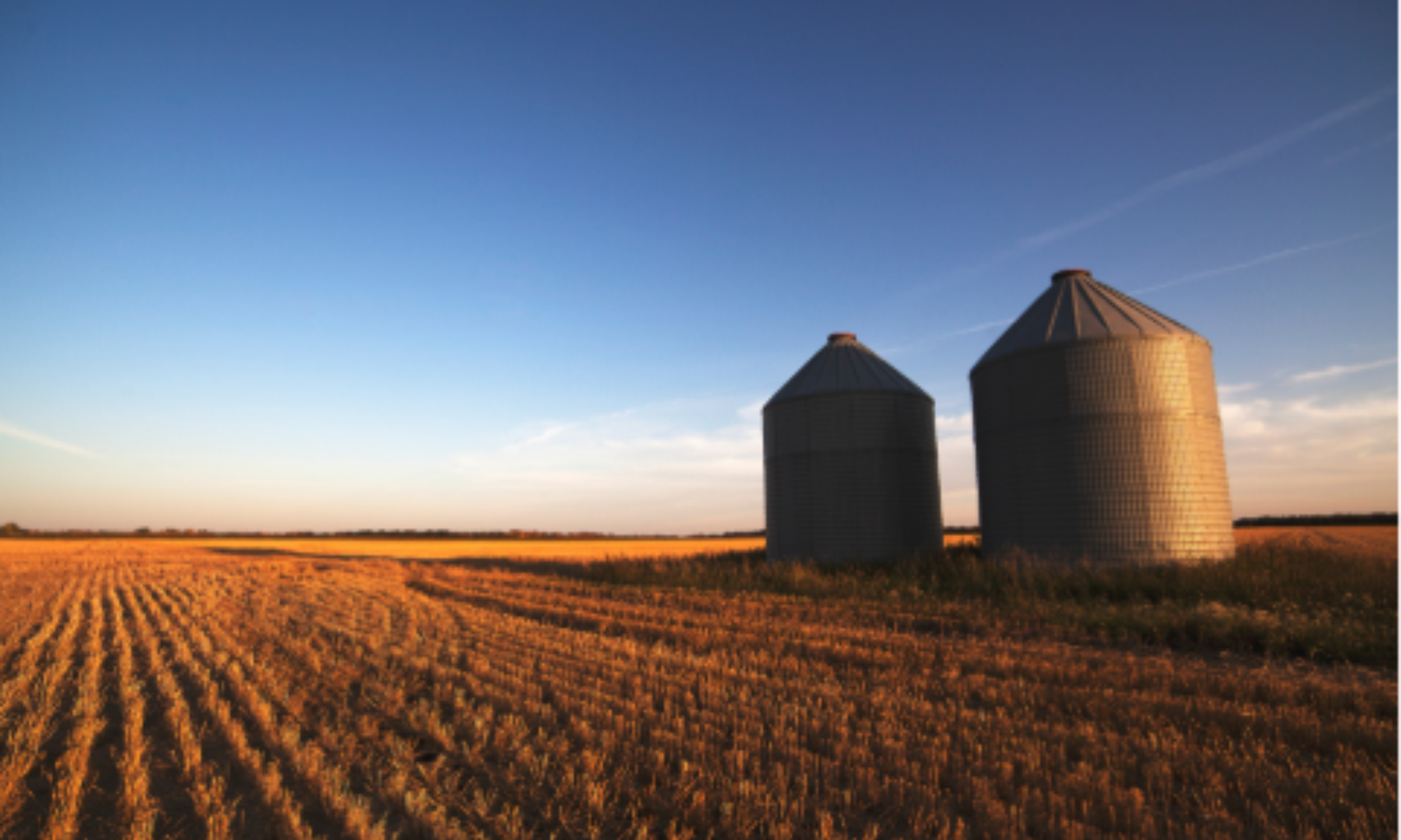 Stay Safe This Harvest: Grain Bin Hazards and How to Prevent Them
