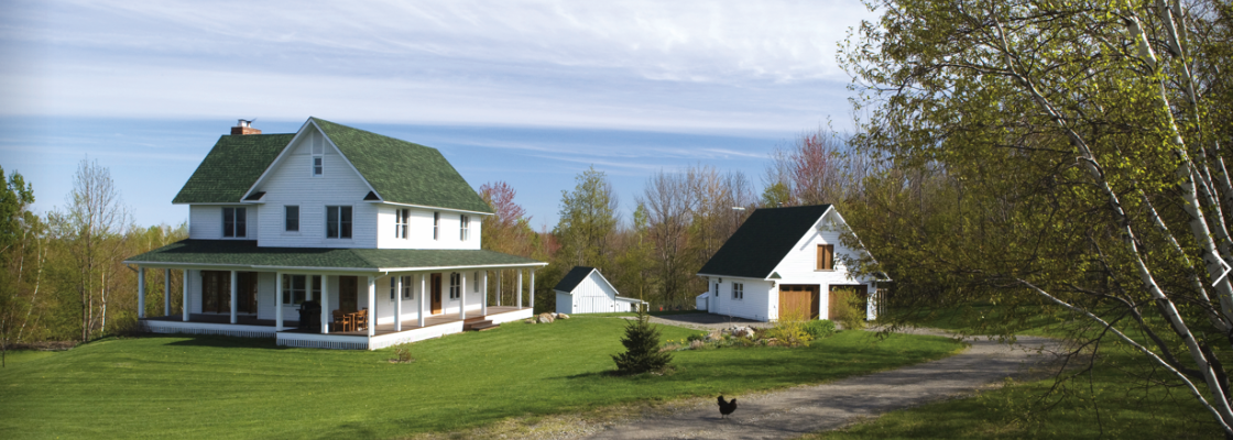 A large white house with a green roof and wraparound porch, a smaller white garage or shed, a smaller white house with a black roof, a chicken, and trees on a sunny day