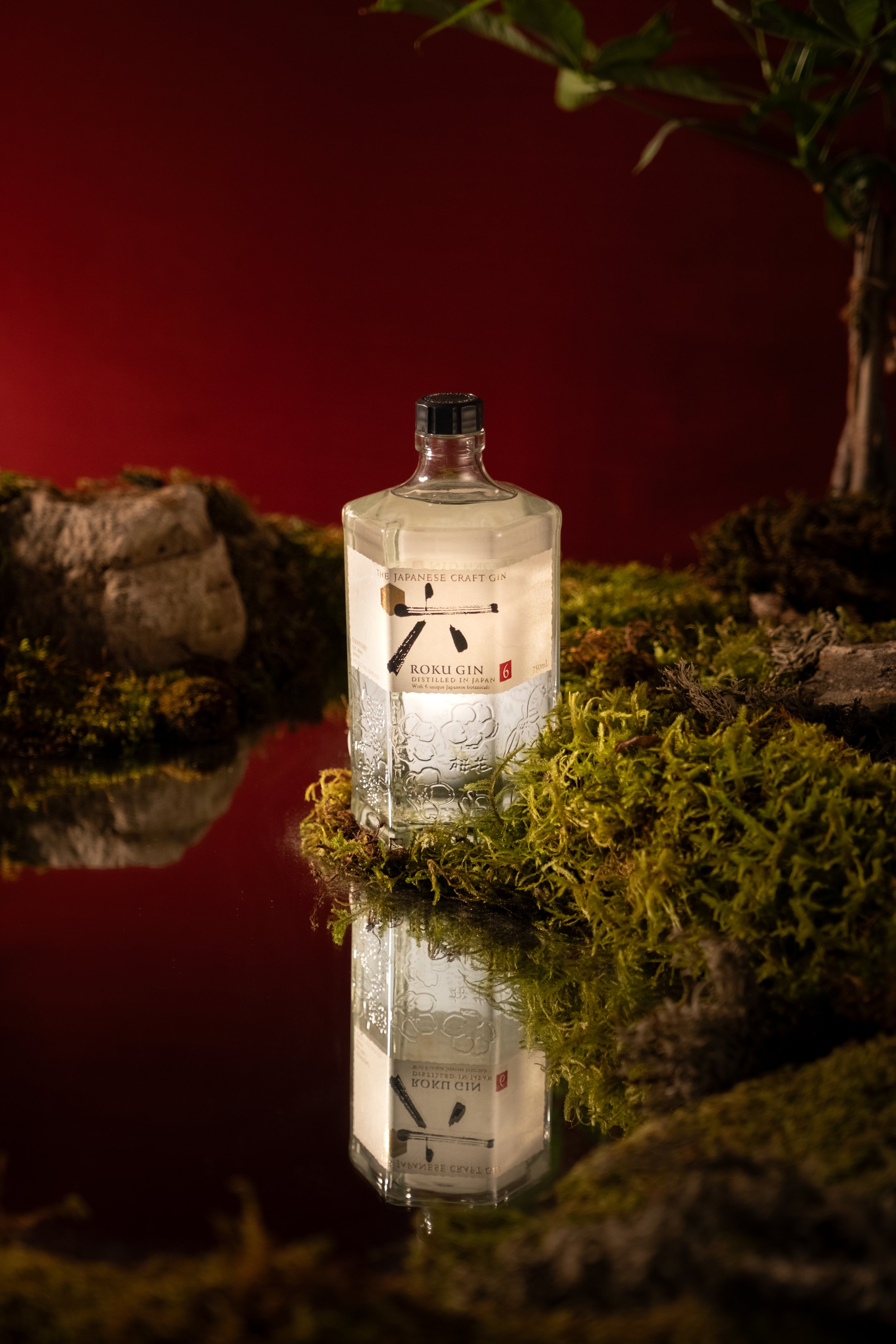 Editorial Food and Beverage Photography | Gin Bottle and Cocktail Branding