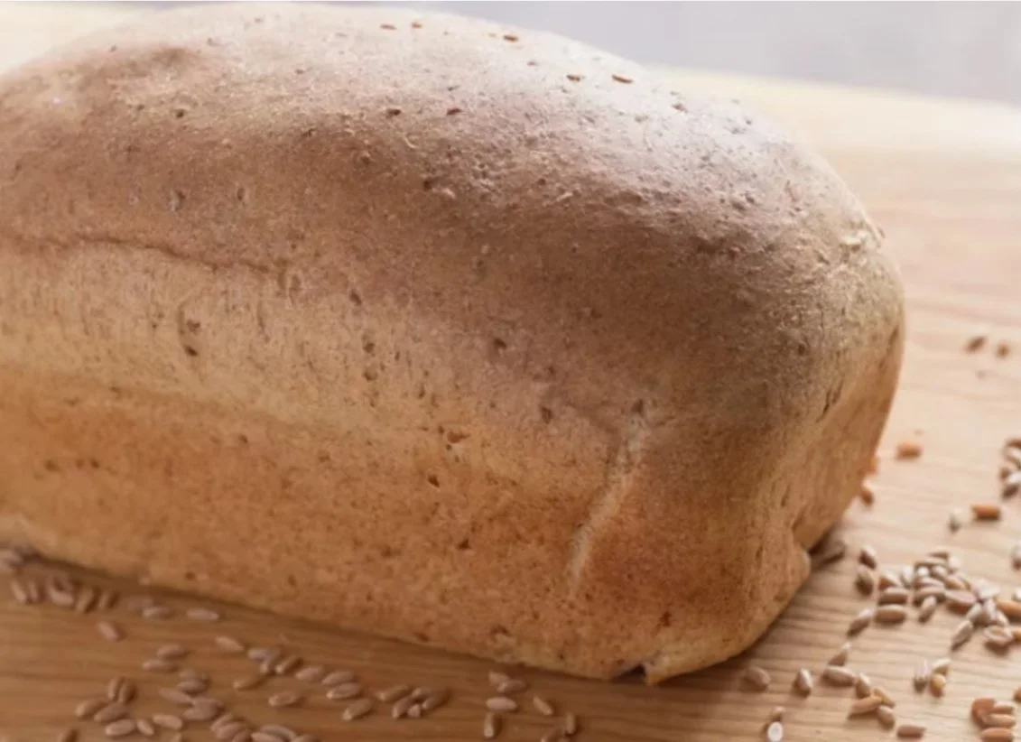 Whole Wheat Bread