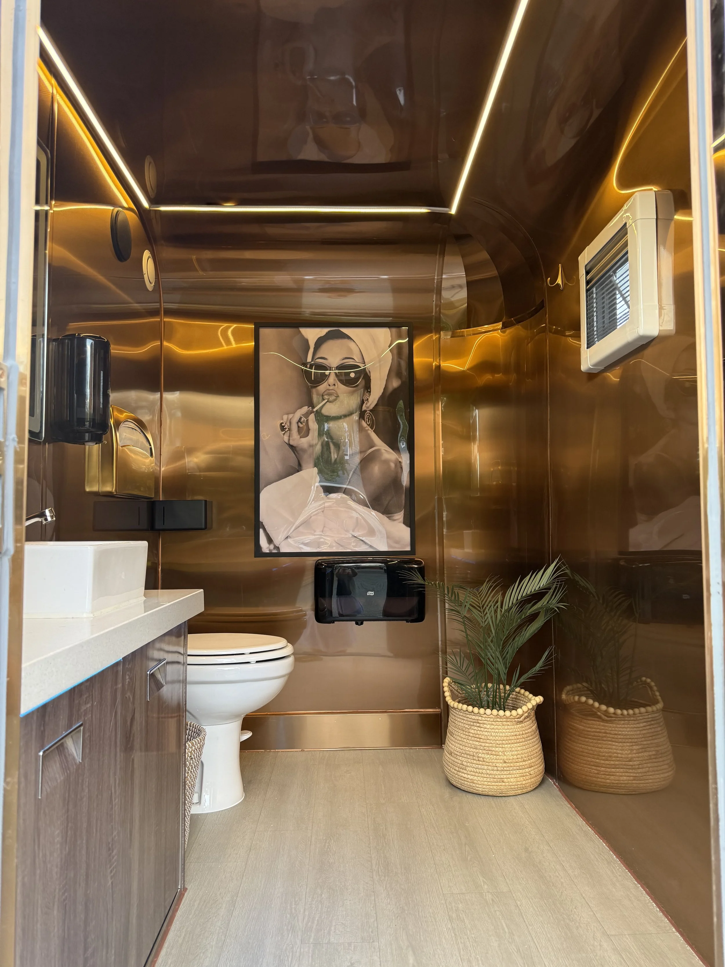 This is a small bathroom with a wooden vanity on the left with a white sink, a white toilet with a black box on top, and two woven baskets with plants on the right. A framed art poster of a woman with sunglasses and a headwrap hangs on the copper-colored metallic wall, which is reflected in the shiny ceiling. There is a small window with blinds on the right wall.