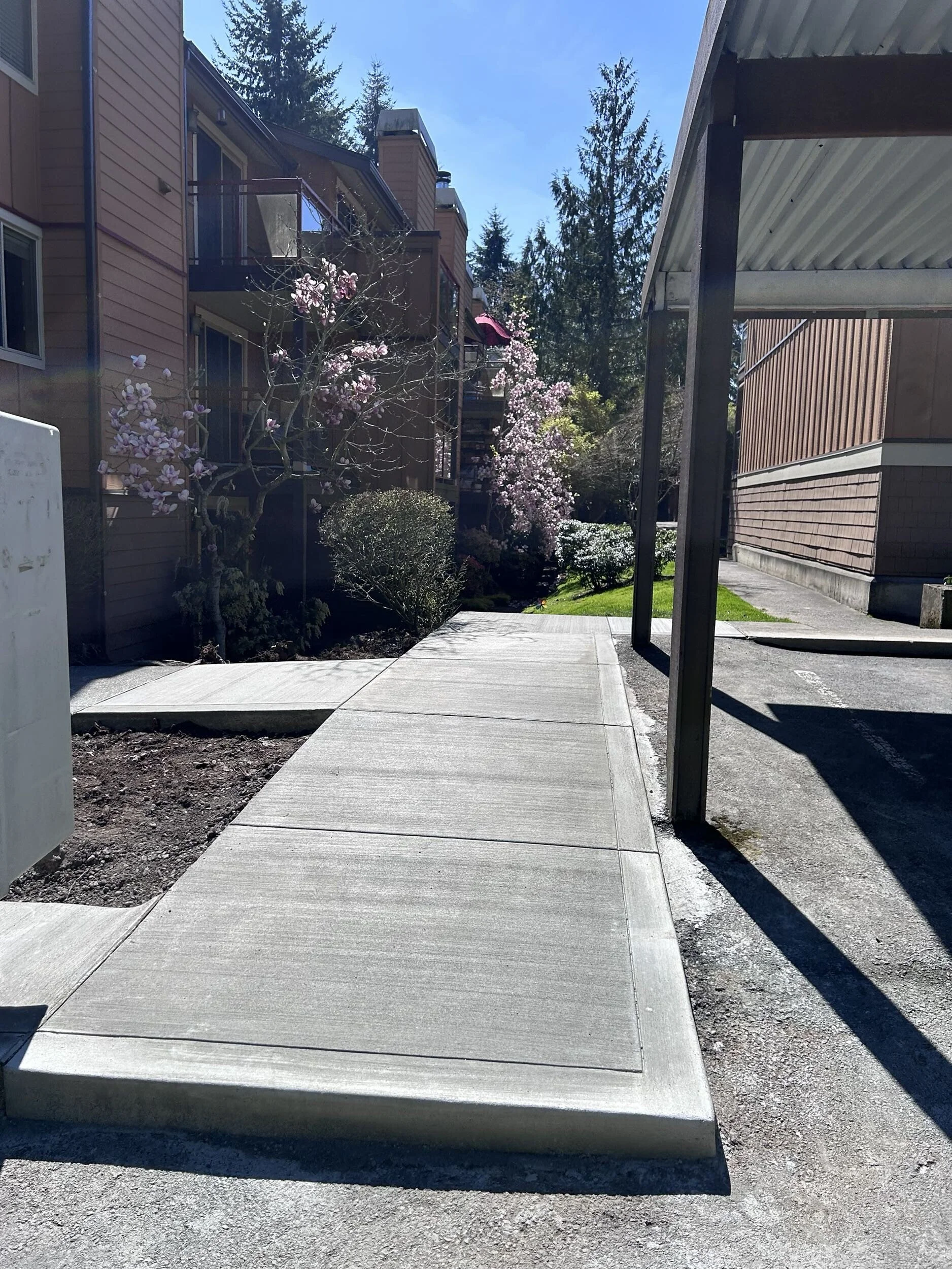 ADA Compliant Sidewalk- Bellevue, WA