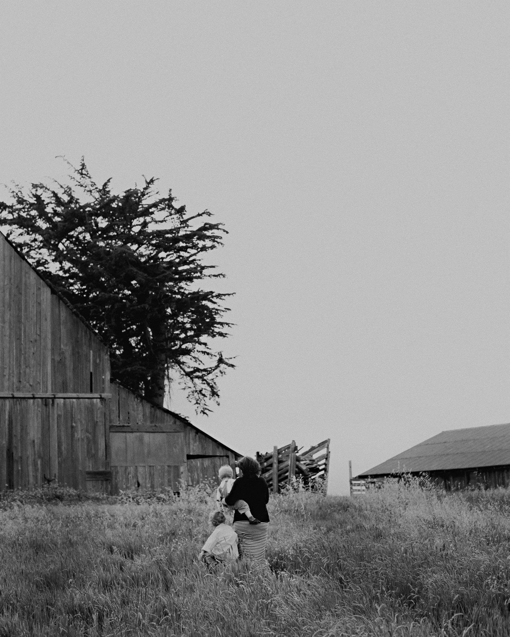 A black and white photo of a mother and children walking through a field of tall grass near a wooden fence, with a house and trees in the background.