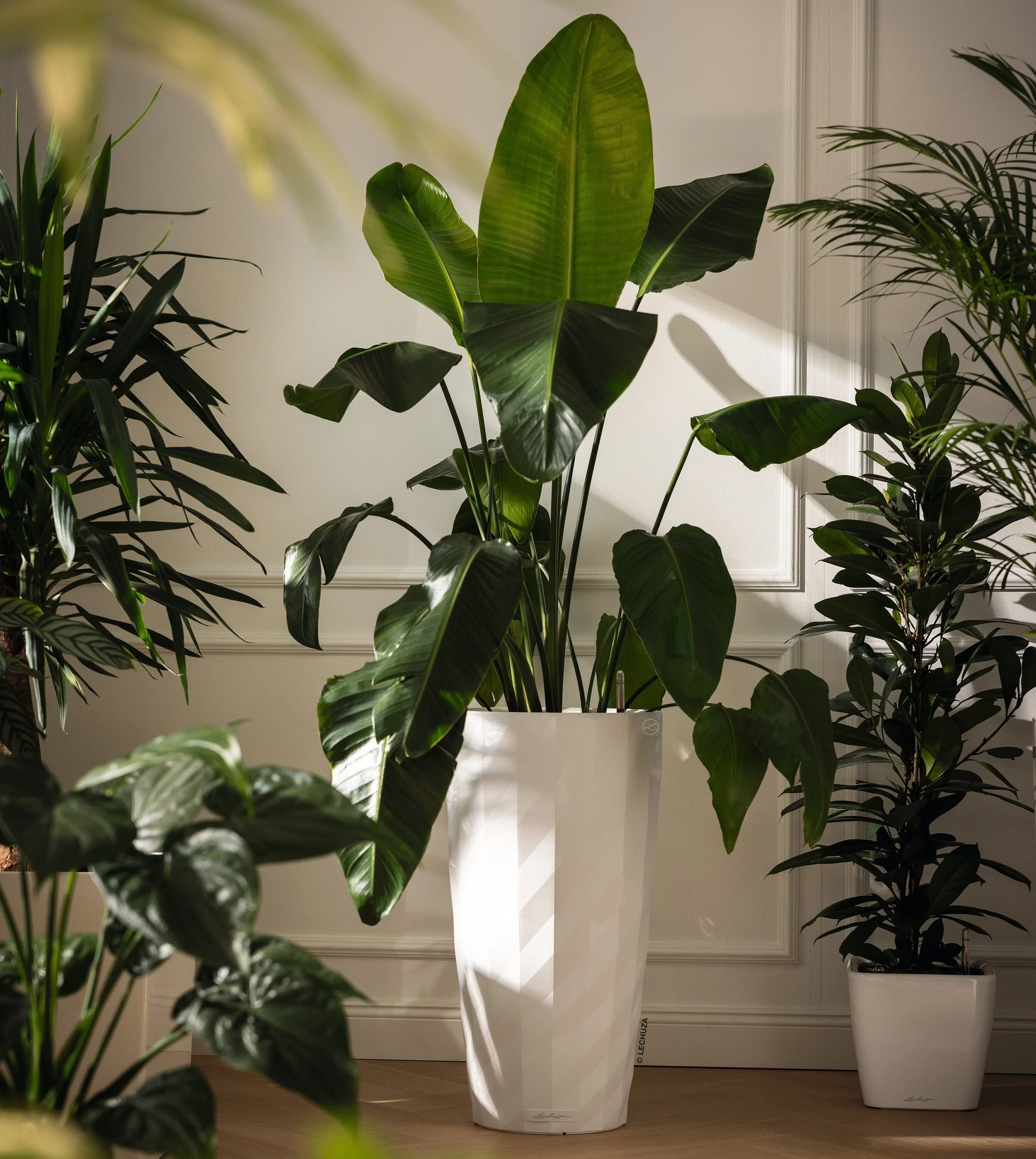 Floor-Ready Program|Retail Ready|Pre-tagged, priced, and display-ready plants that move straight from delivery to your sales floor.