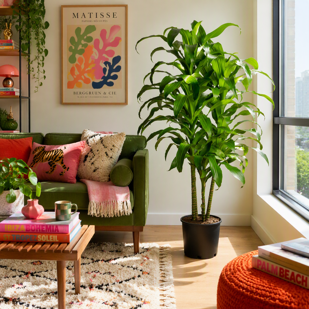 |Hawaiian Plants