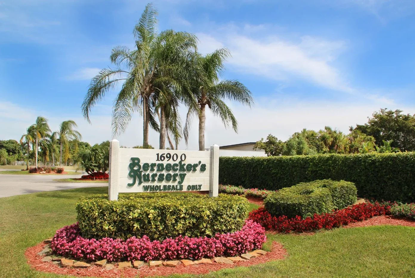 The Bernecker's Nursery entrance sign framed by palm trees and flowering beds