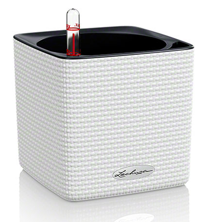 CUBE COLOR — Slate, White — 6"