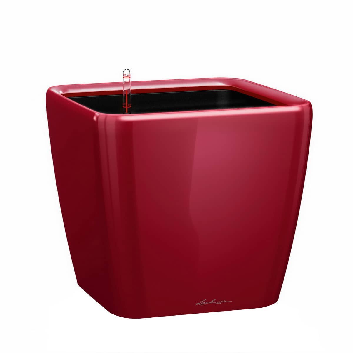 QUADRO LS — Black, Charcoal, Espresso, Scarlet Red, Silver, White — 8.5"