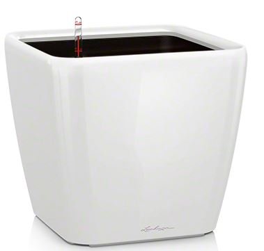 QUADRO LS — Black, Charcoal, Espresso, Scarlet Red, Silver, White — 20"